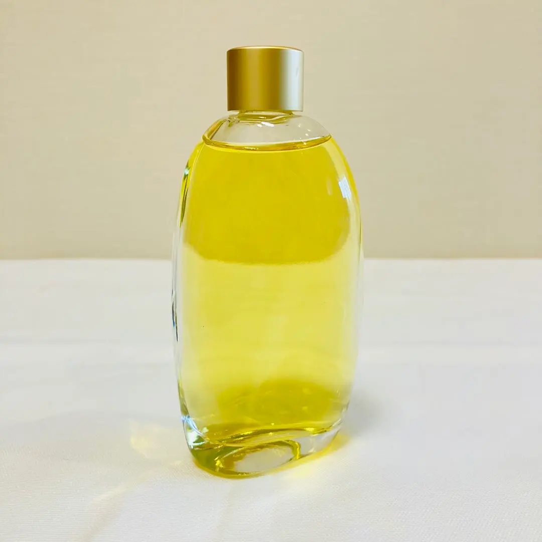 2026年最新】資生堂シャンデュクールの人気アイテム - メルカリ