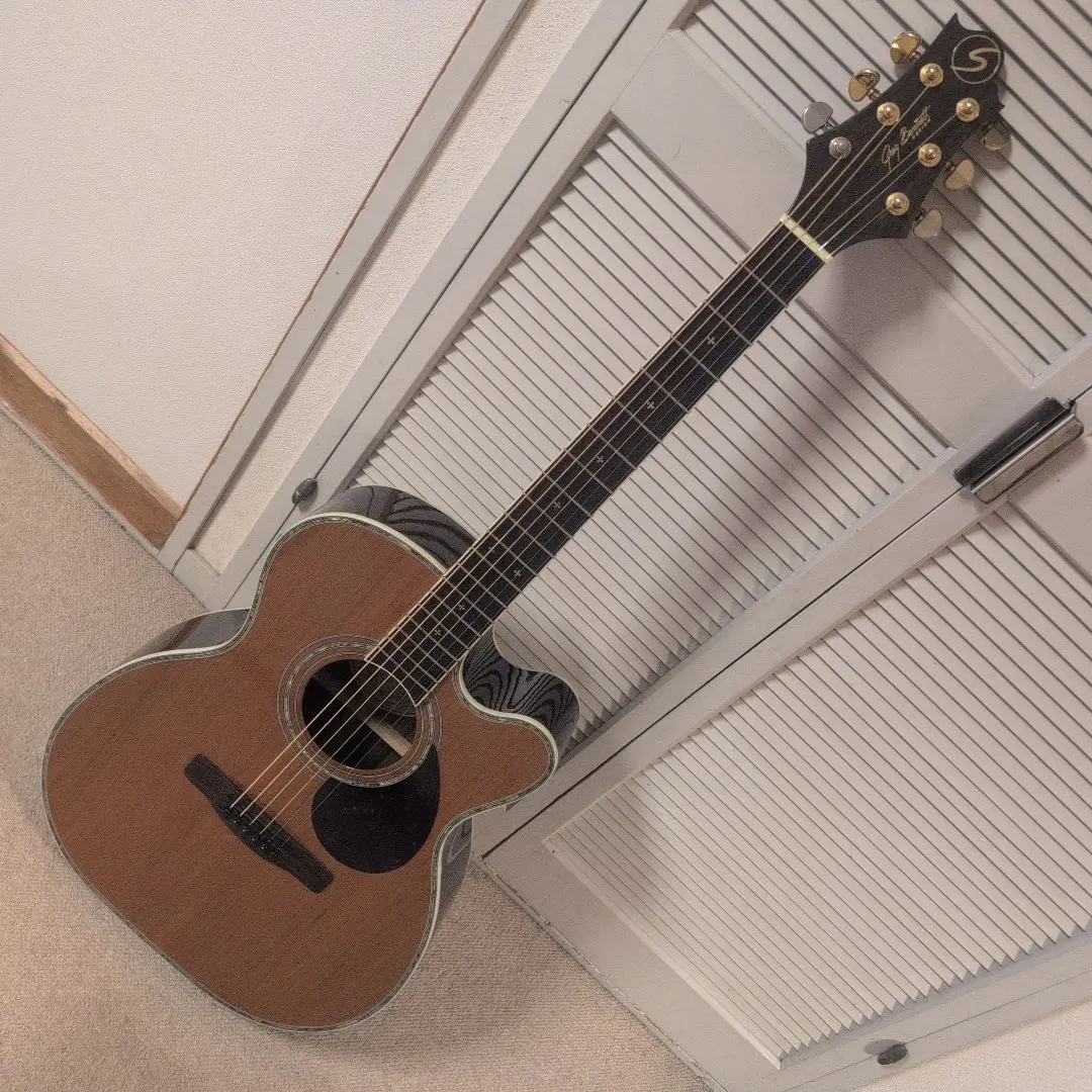 2026年最新】エレアコ greg bennettの人気アイテム - メルカリ