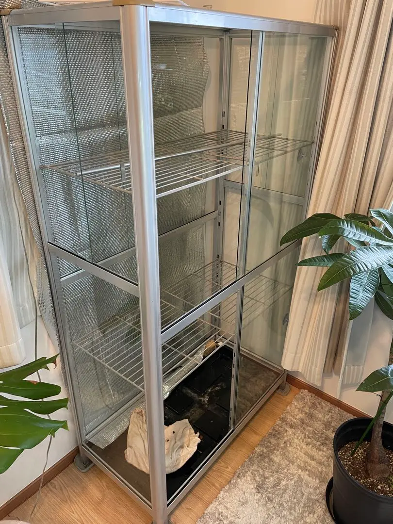 2026年最新】ガラス温室 ピカの人気アイテム - メルカリ