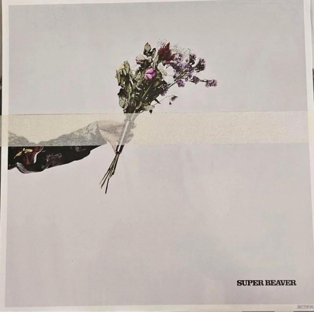 2026年最新】メガジャケ superbeaverの人気アイテム - メルカリ