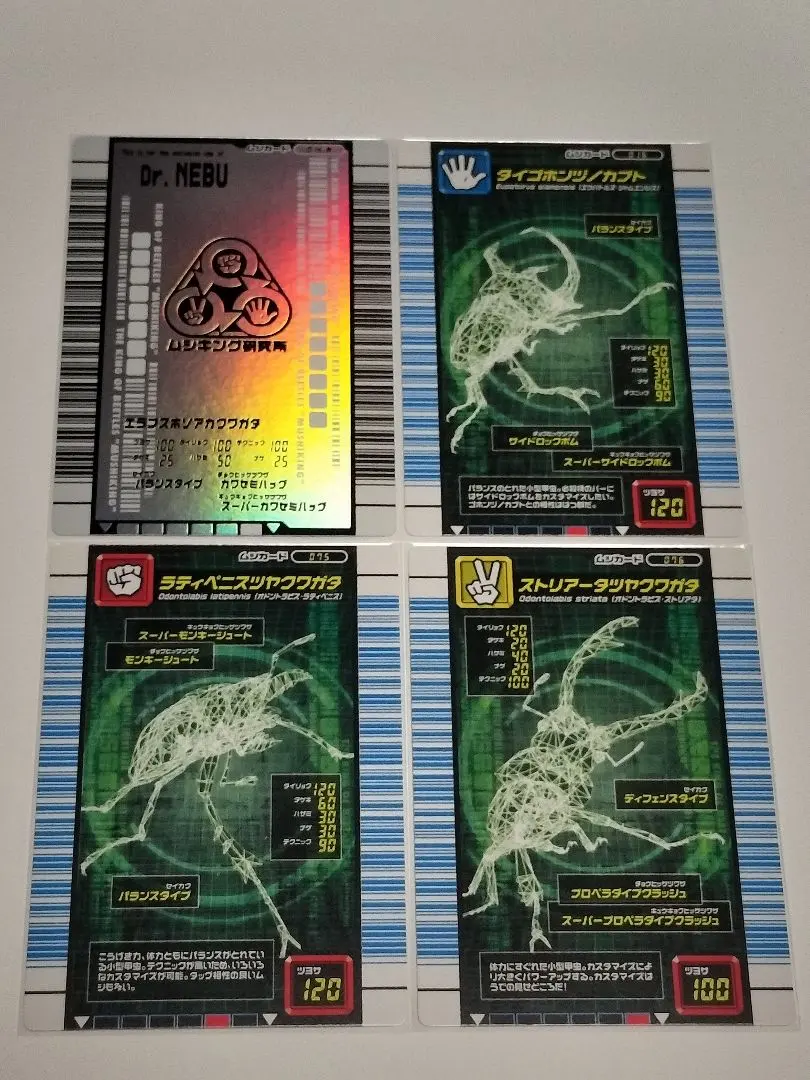 2026年最新】シンザンキョウの人気アイテム - メルカリ