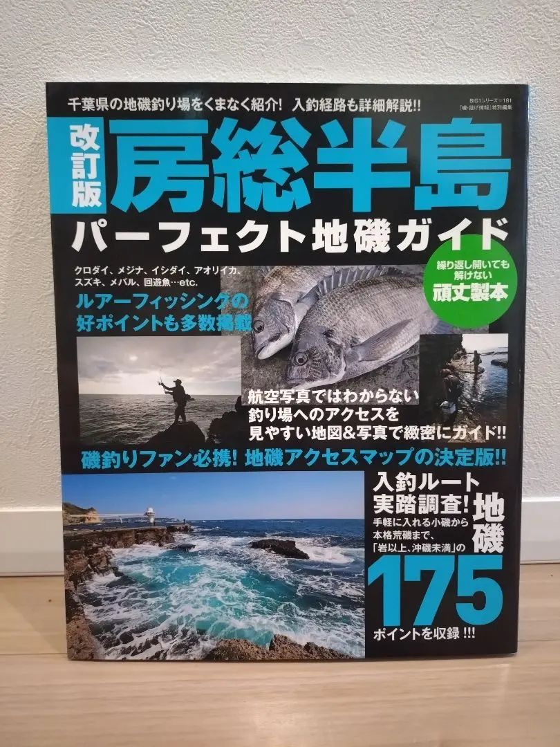 2026年最新】房総半島パーフェクト地磯ガイドの人気アイテム - メルカリ
