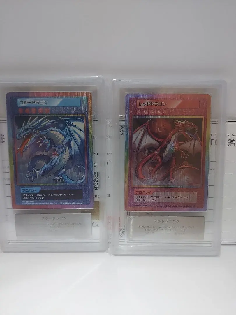 2026年最新】108フラワーズ ブルードラゴンの人気アイテム - メルカリ