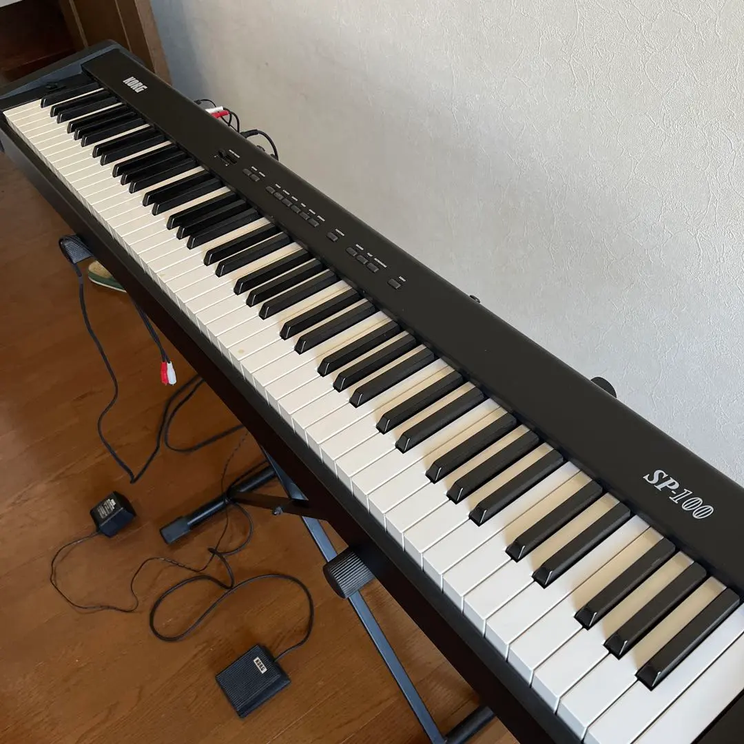 2026年最新】KORG SP-100の人気アイテム - メルカリ