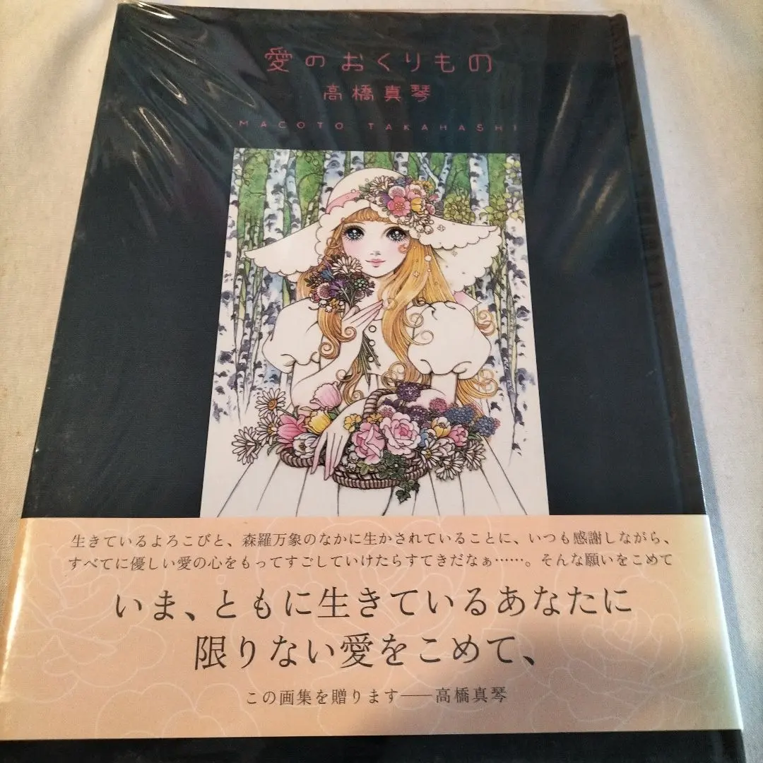 2026年最新】高橋真琴 愛のおくりものの人気アイテム - メルカリ