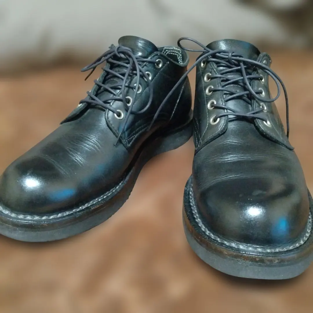 2026年最新】ハソーン ネペンテスの人気アイテム - メルカリ