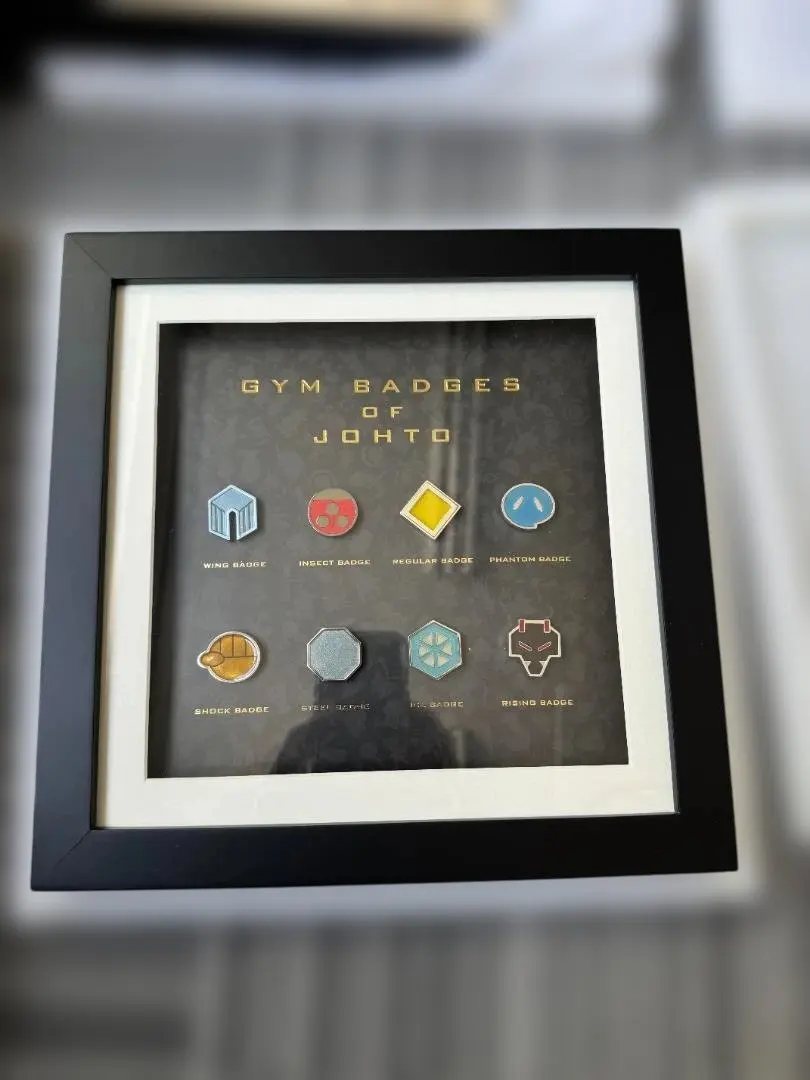 2026年最新】ジムバッジ コンプリートセットの人気アイテム - メルカリ