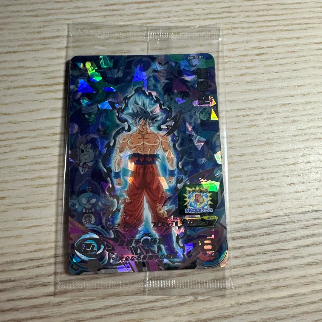 m95560687444_1.jpg?1772091361