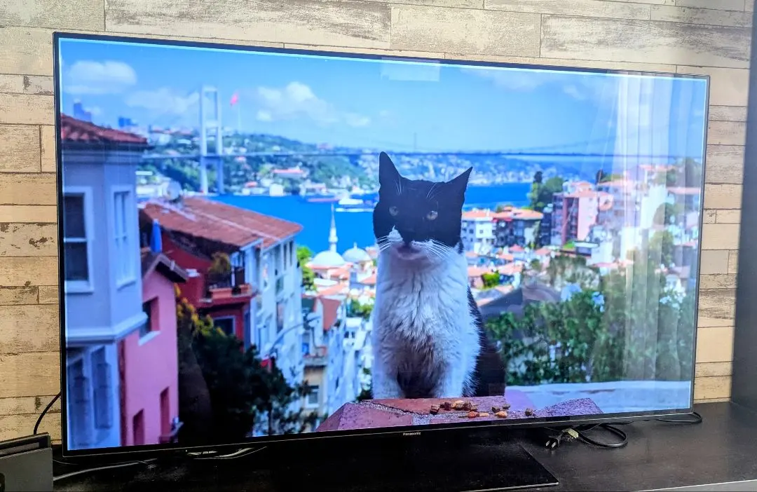 2026年最新】パナソニック 有機el th-55fz950の人気アイテム - メルカリ