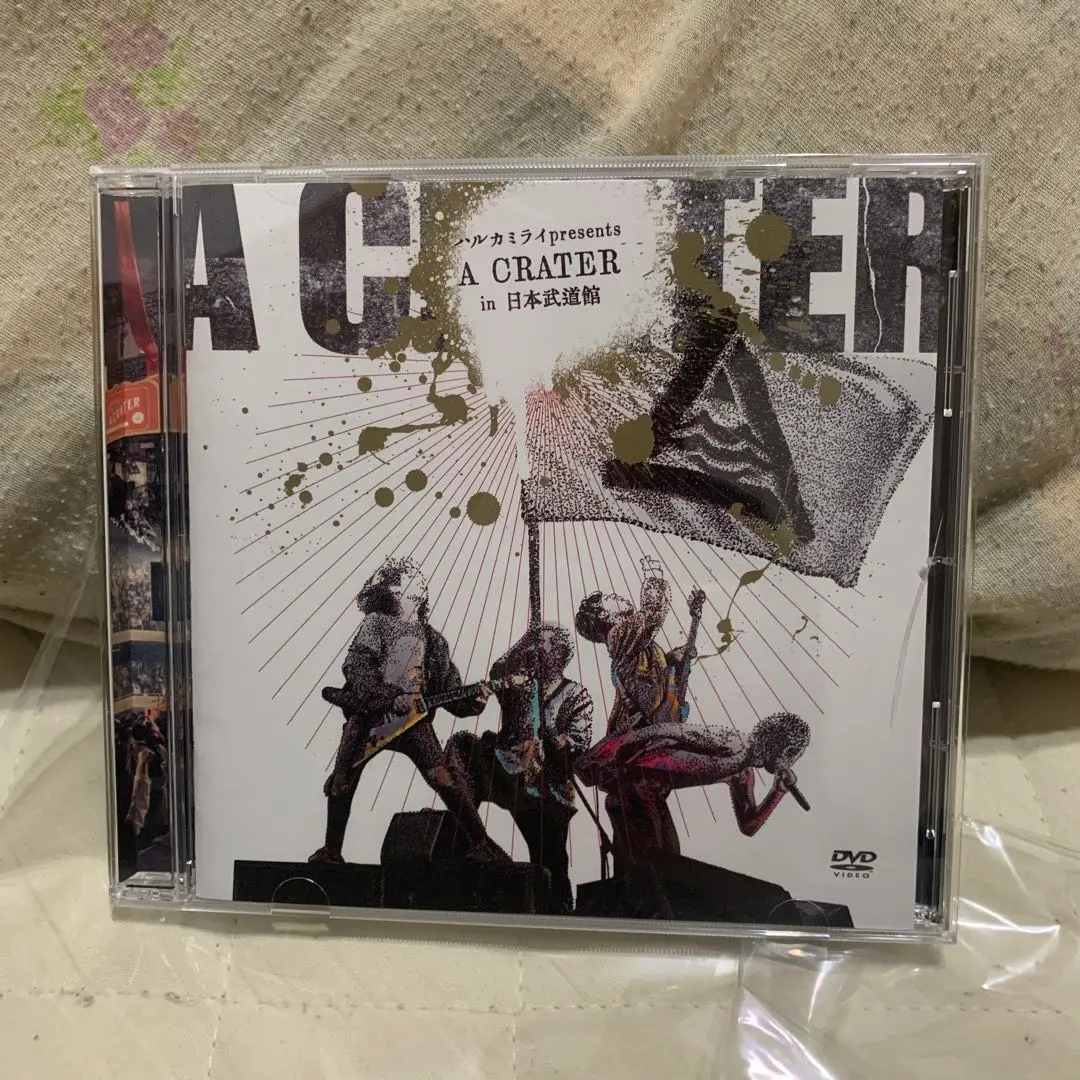 2026年最新】ハルカミライ 武道館 dvdの人気アイテム - メルカリ