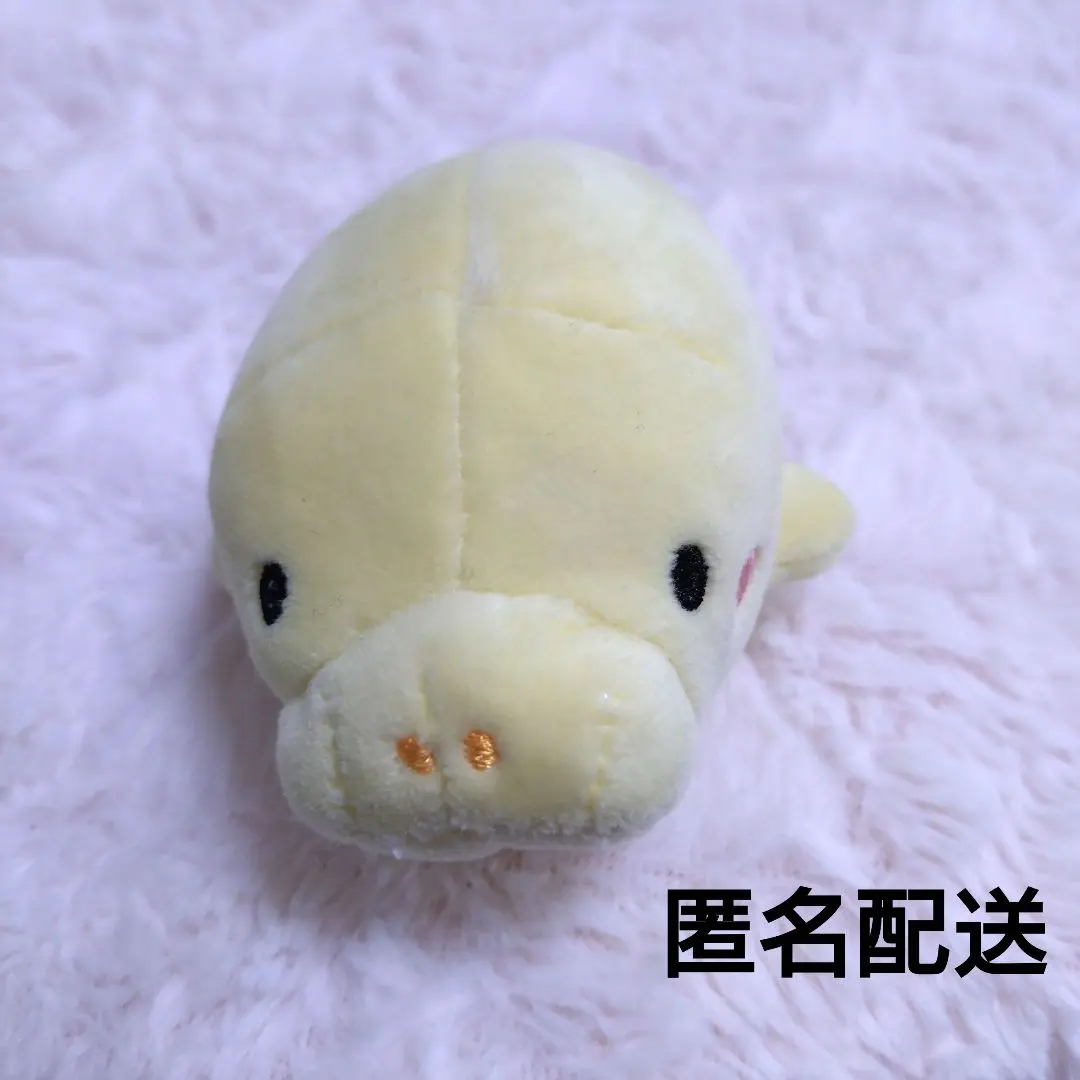 2026年最新】鳥羽水族館 ジュゴン ぬいぐるみの人気アイテム - メルカリ