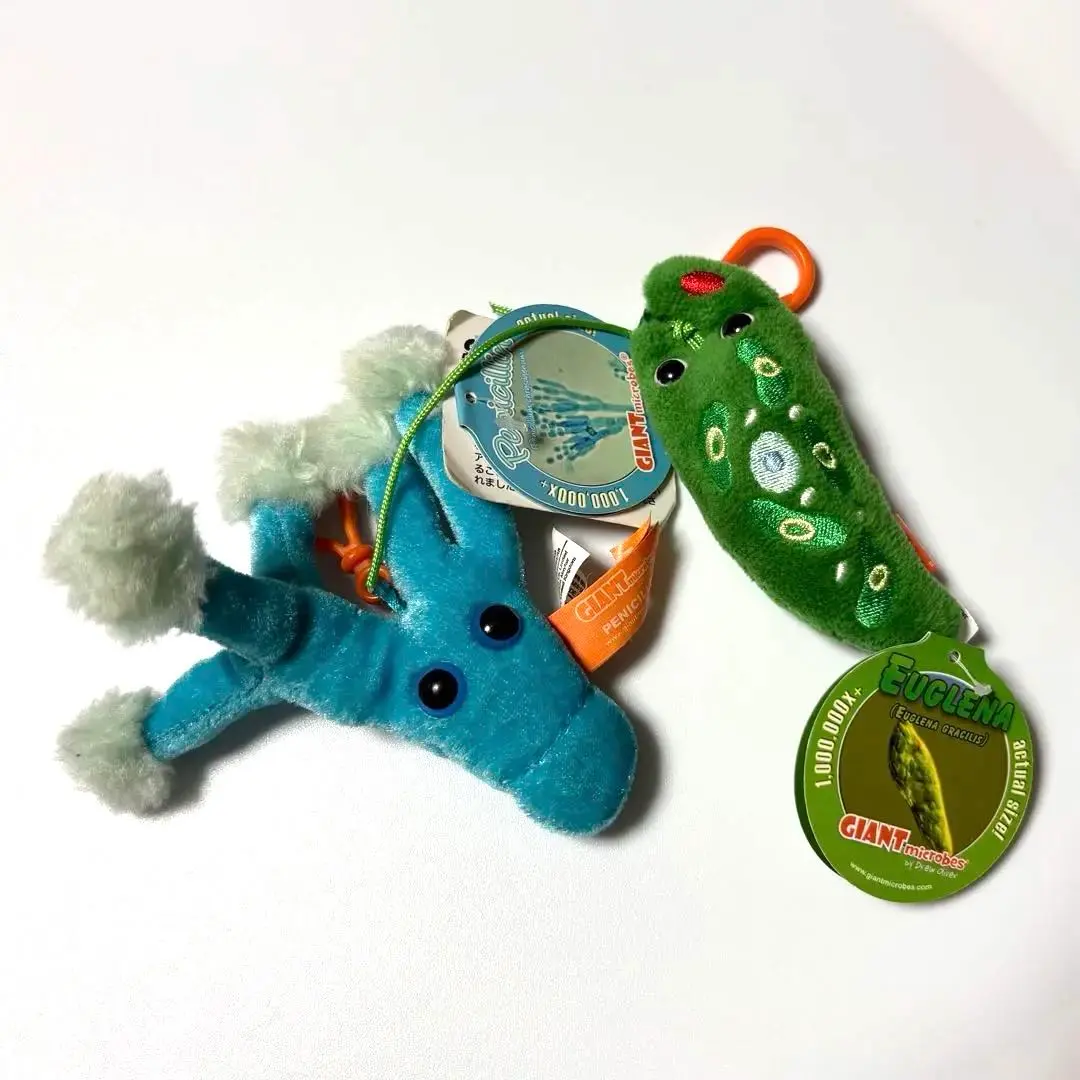 2026年最新】ジャイアントマイクロブスの人気アイテム - メルカリ