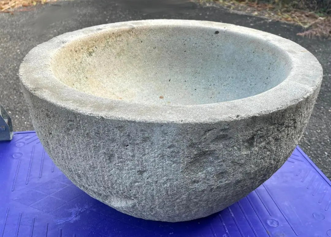 2026年最新】石臼 メダカの人気アイテム - メルカリ