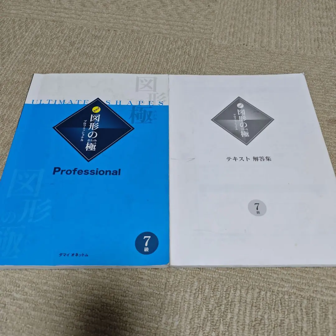 2026年最新】図形の極みの人気アイテム - メルカリ