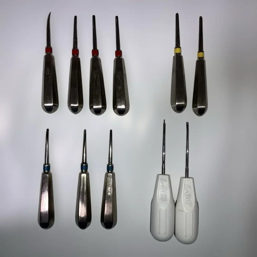 2026年最新】ヘーベル 歯科の人気アイテム - メルカリ