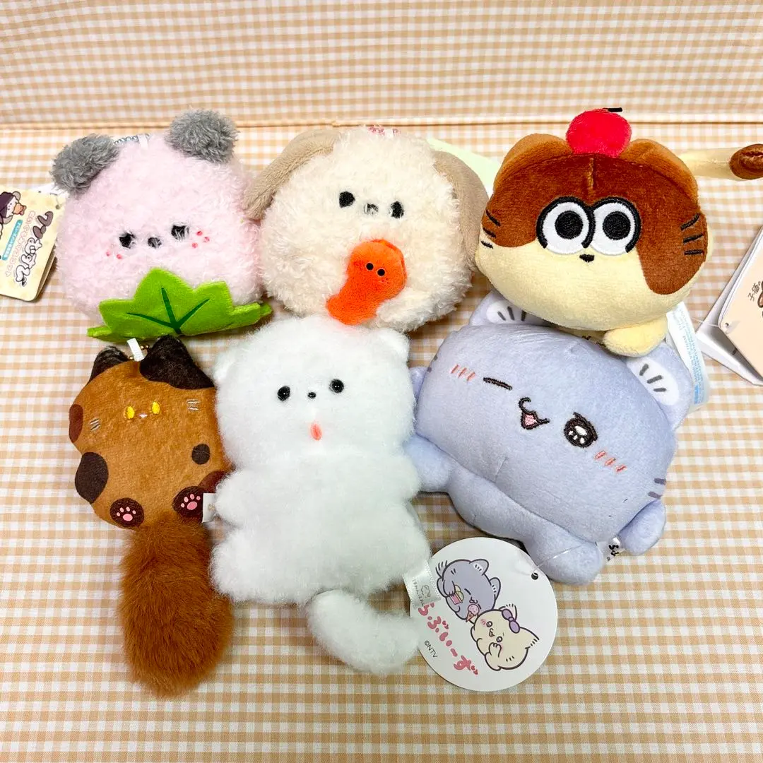 2026年最新】ほわんほわんよろこびの人気アイテム - メルカリ