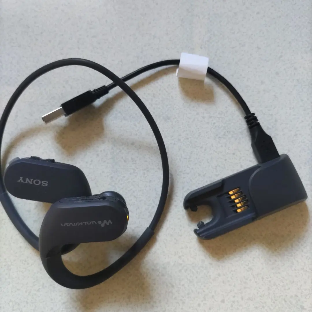 2026年最新】NW-WS413の人気アイテム - メルカリ