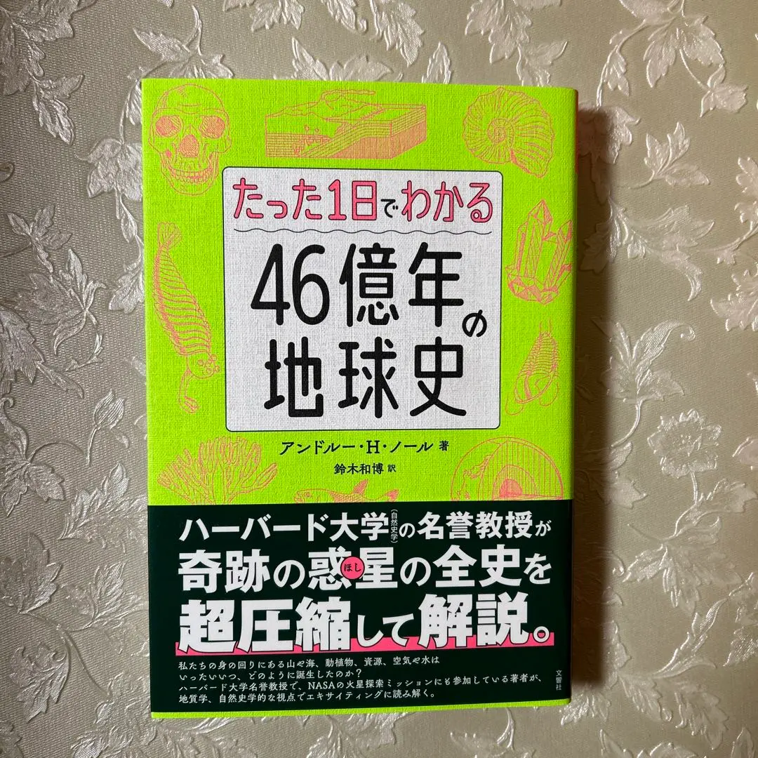 2026年最新】46億年の地球史の人気アイテム - メルカリ