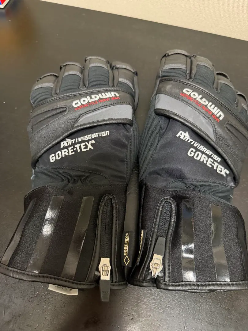 2026年最新】goldwin グローブ ゴアテックスの人気アイテム - メルカリ