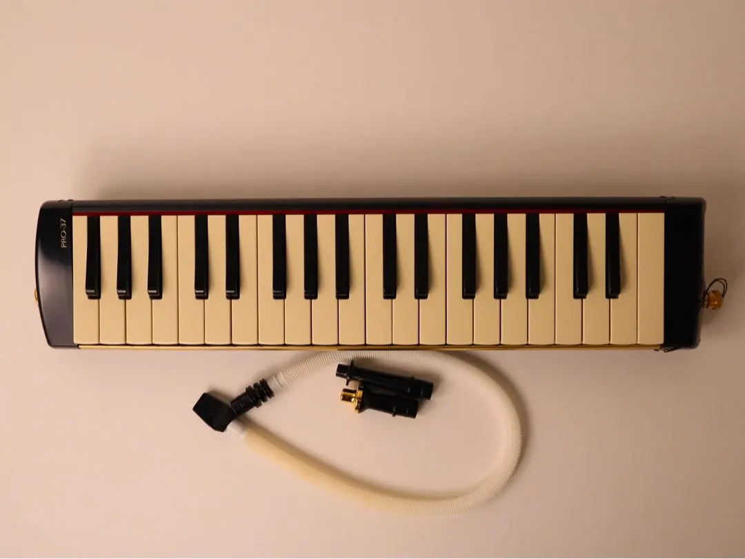 2026年最新】SUZUKI スズキ 鍵盤ハーモニカ メロディオン アルト PRO