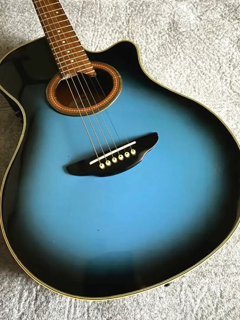 2026年最新】apx ギター 長渕剛の人気アイテム - メルカリ