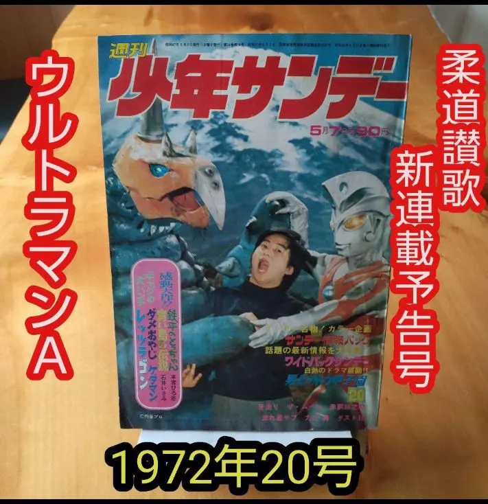 2026年最新】柔道讃歌の人気アイテム - メルカリ
