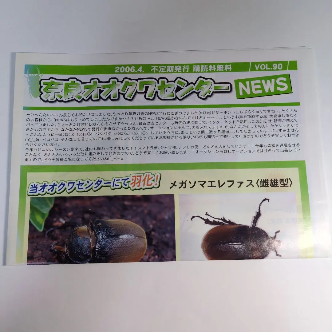 2026年最新】奈良オオクワセンターの人気アイテム - メルカリ