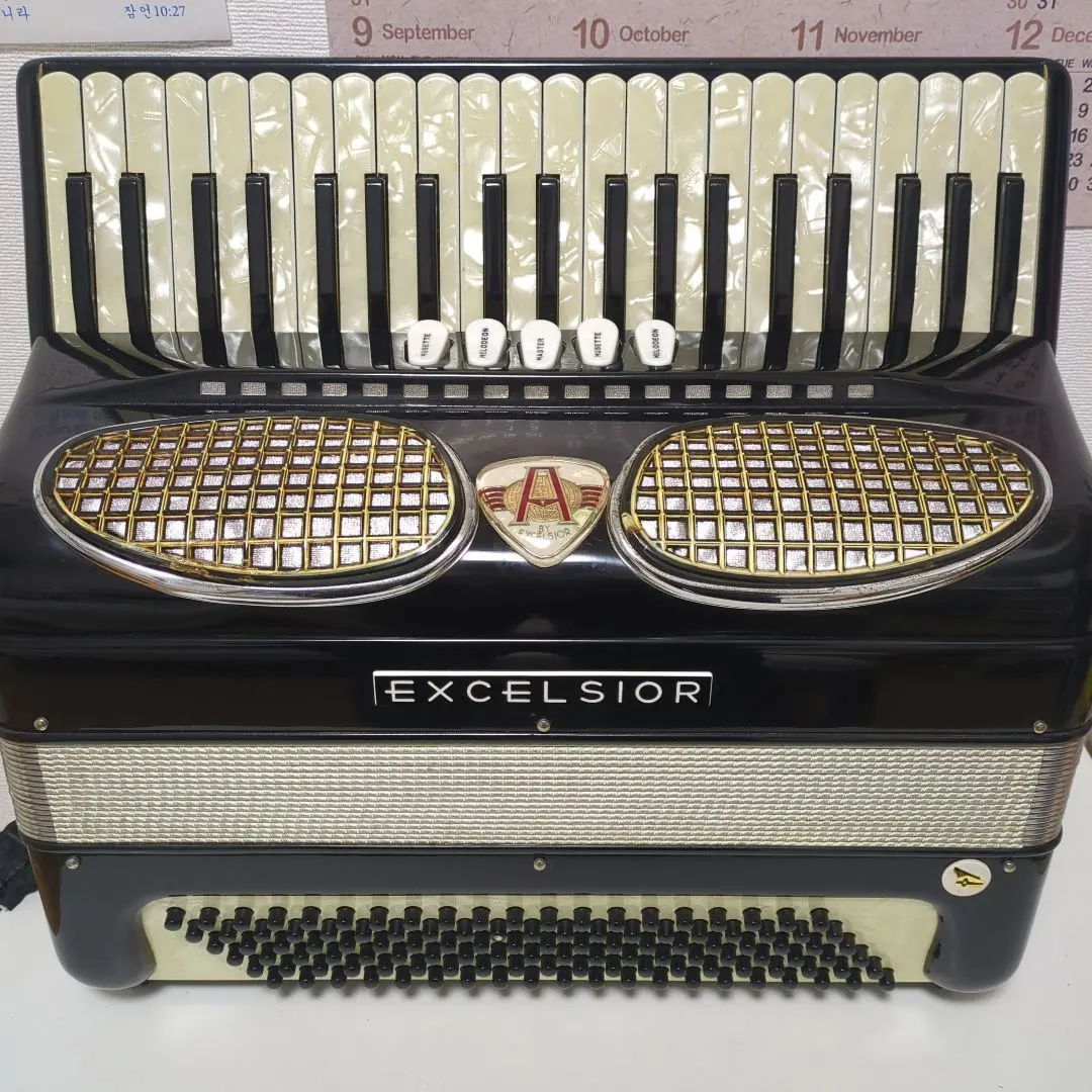 2026年最新】アコーディオン 41鍵盤の人気アイテム - メルカリ