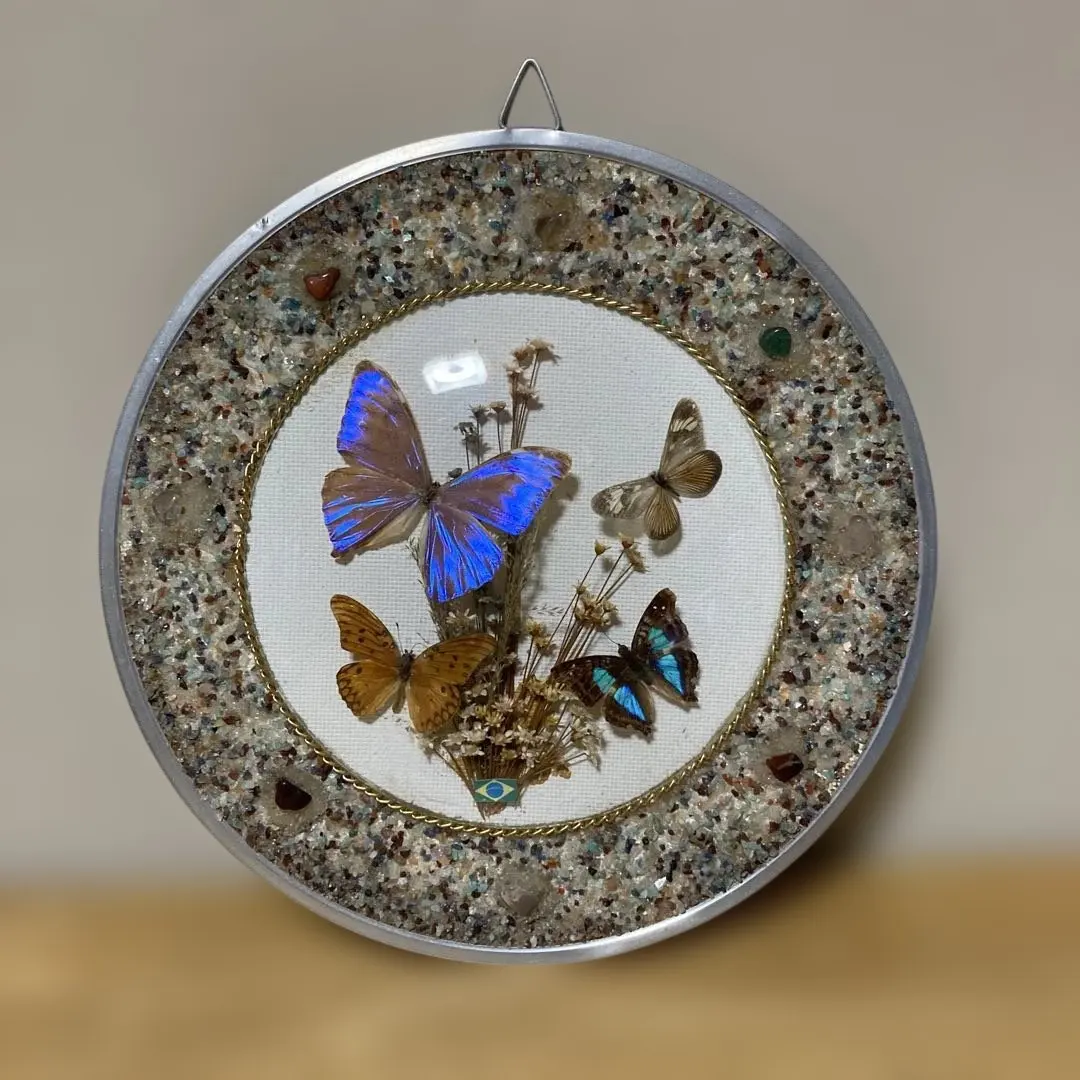 2026年最新】ブラジルモルフォ蝶壁掛けの人気アイテム - メルカリ