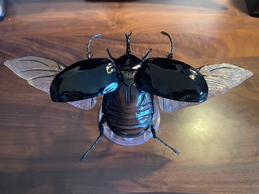 2026年最新】ゾウカブト 標本の人気アイテム - メルカリ