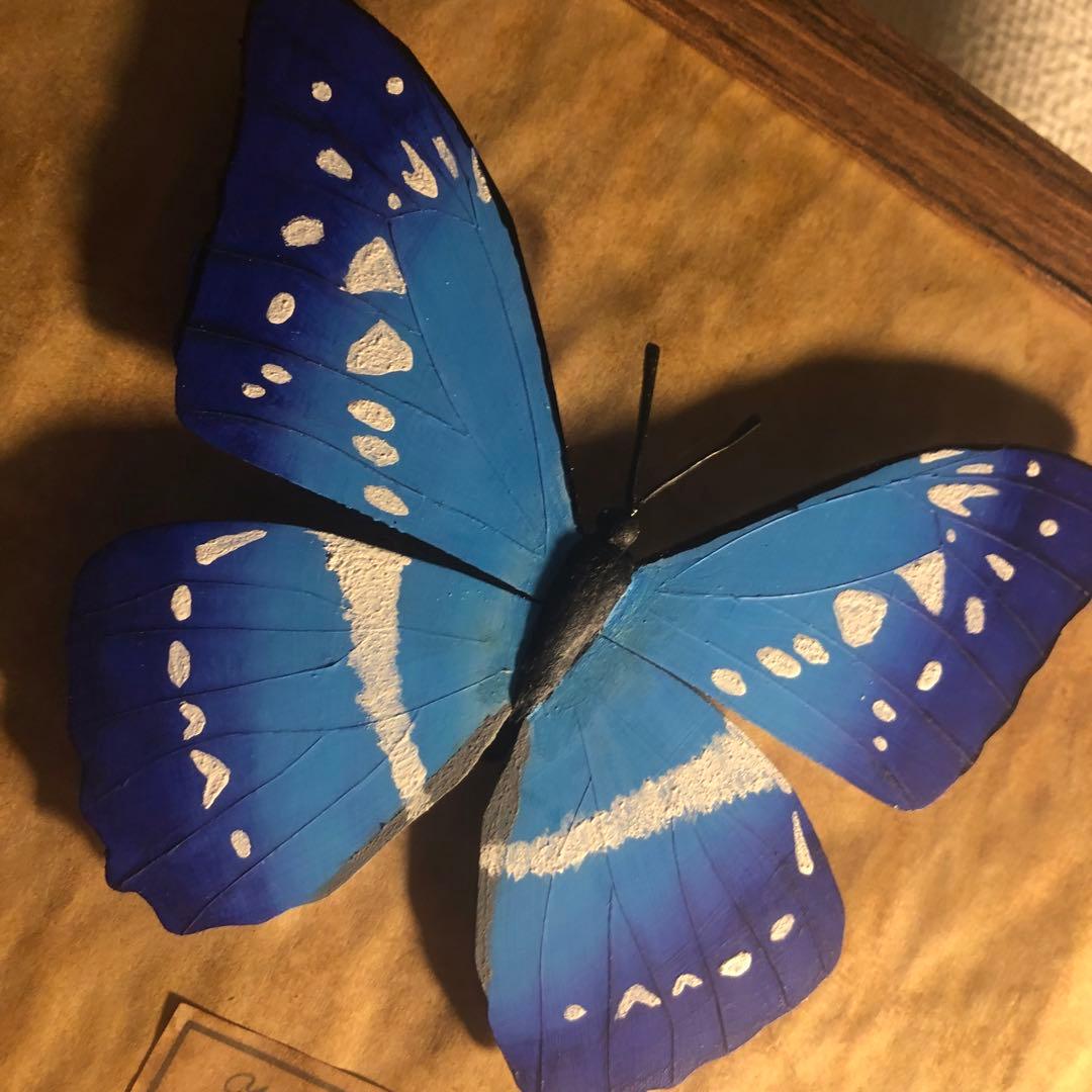 キプリスモルフォ フェイク蝶標本 アンティーク風 - メルカリ