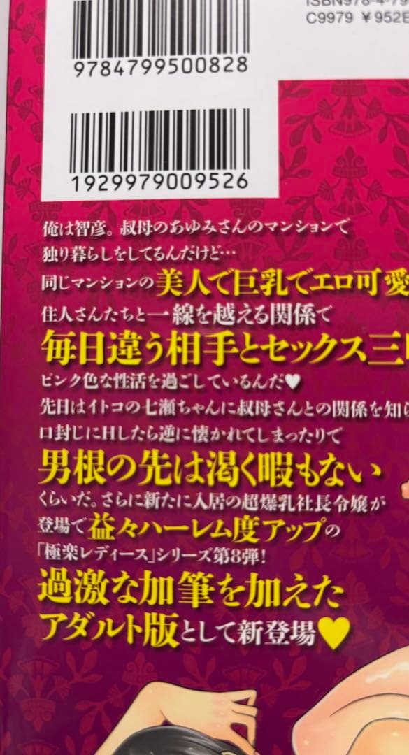 極楽レディース 全巻セット かわもりみさき まとめて 入手困難 希少
