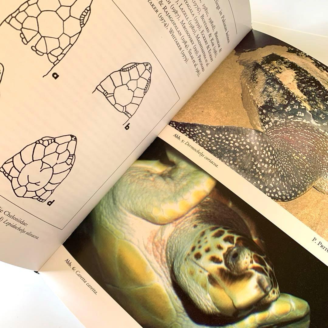 インド亜大陸のカメ ドイツ語版 Die Schildkröten des‥ - メルカリ