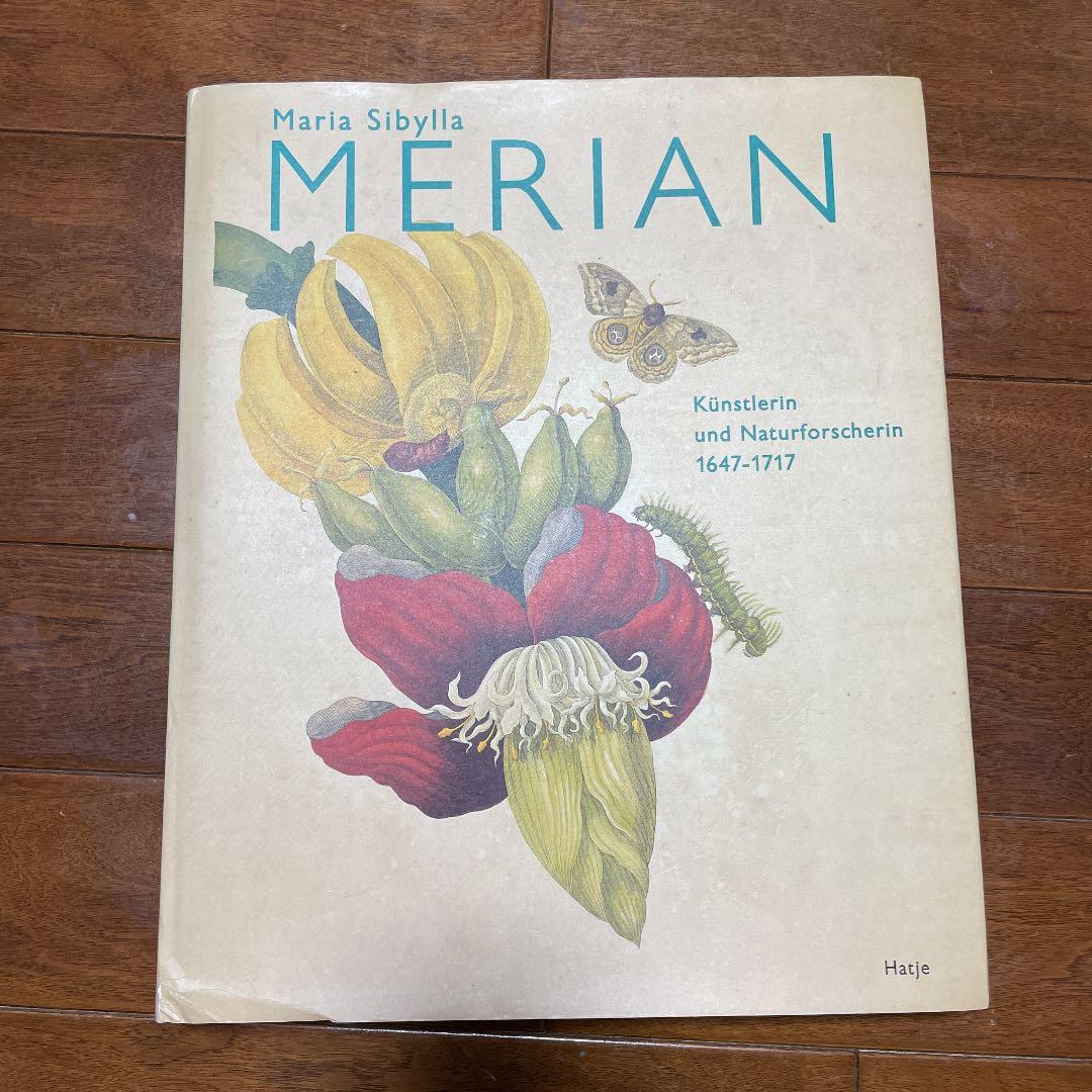 Maria Sibylla Merian 植物画とドイツ語解説 1280px-Maria-Sibylla-Merian-