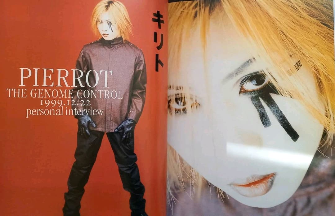 PIERROT：【ULTIMATE FILE 1995-2005】完全限定BOX - メルカリ