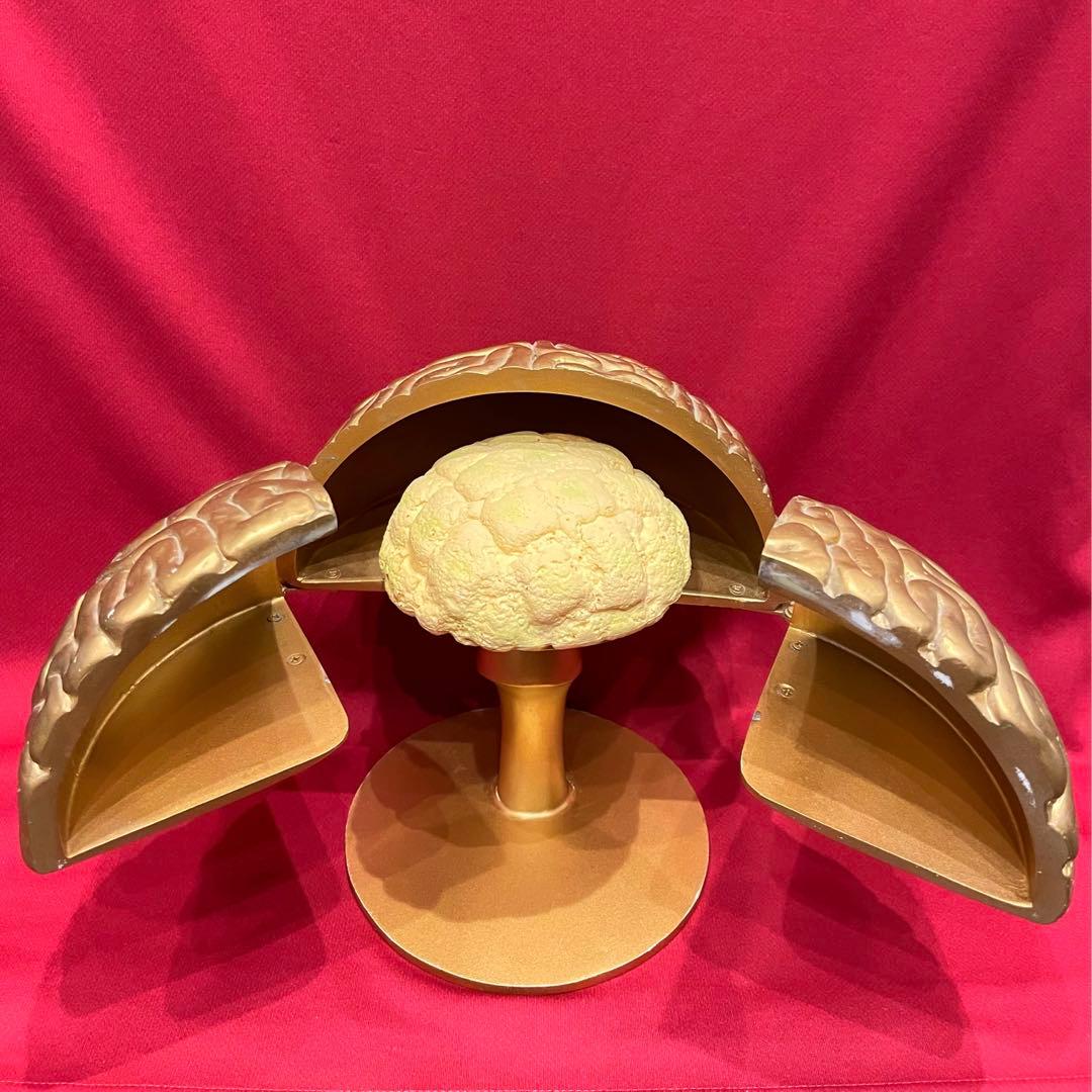 本物】トリビアの泉 金の脳 へぇ タモリ 八嶋智人 高橋克実 - メルカリ