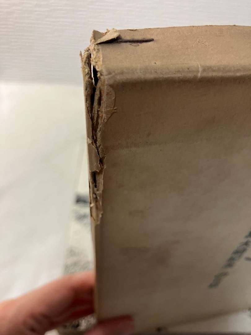 写真集 橋本照嵩 瞽女 ごぜ のら社