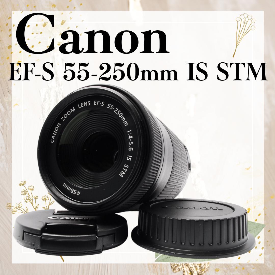 美品 手ぶれ補正 キャノン EF-S 55-250mm IS STM 望遠レンズ Amazon.com : Canon EF-S 55-250mm f/4-5.6 IS STM Telephoto Zoom