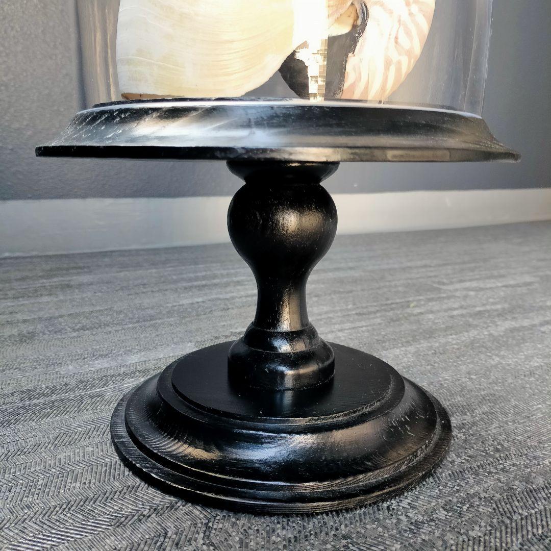 ガラスドーム オーム貝 - メルカリ