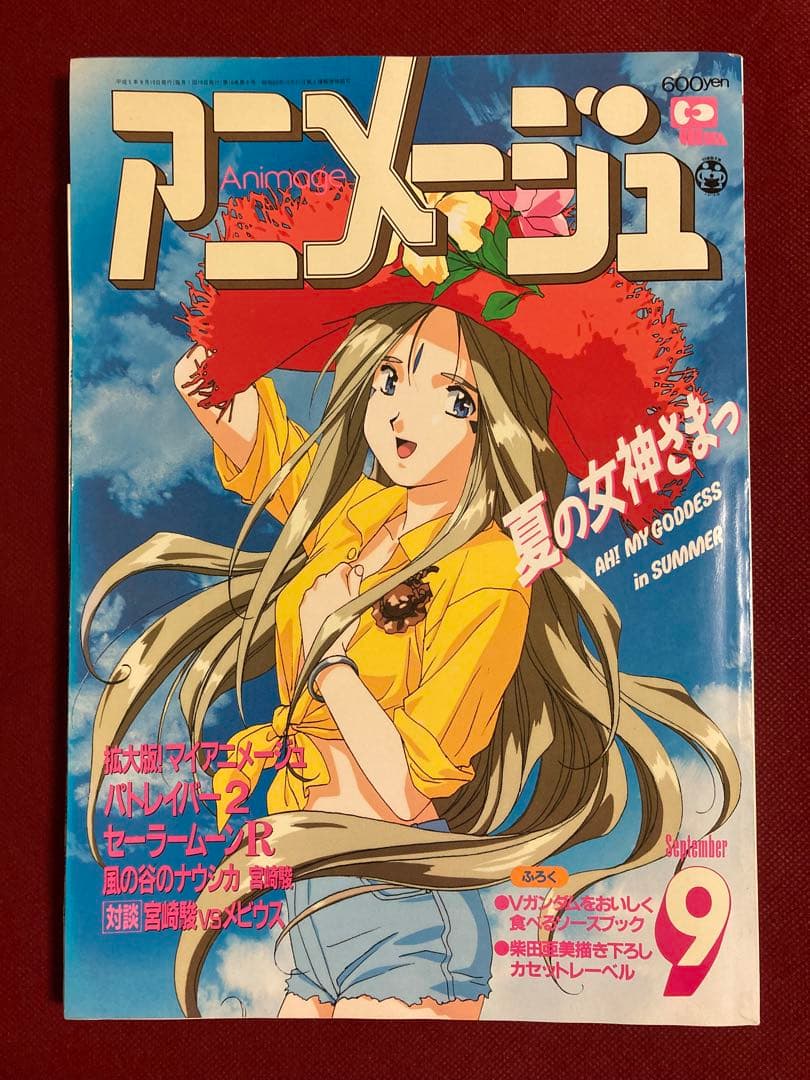 付録付き】 雑誌 アニメージュ 1993年（平成5年）6.9月号 2冊セット