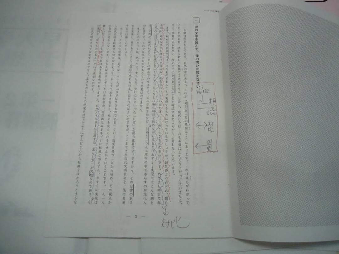 早稲田アカデミー NN早大学院 正月特訓/直前特講/その他 2017年度版