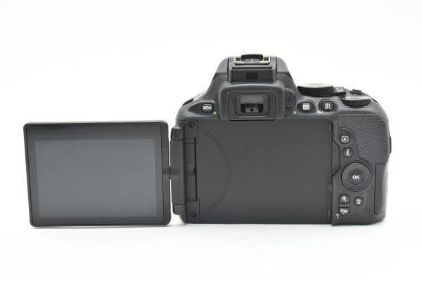 【美品】ニコン Nikon D5600 レンズキット《ショット数11958回》