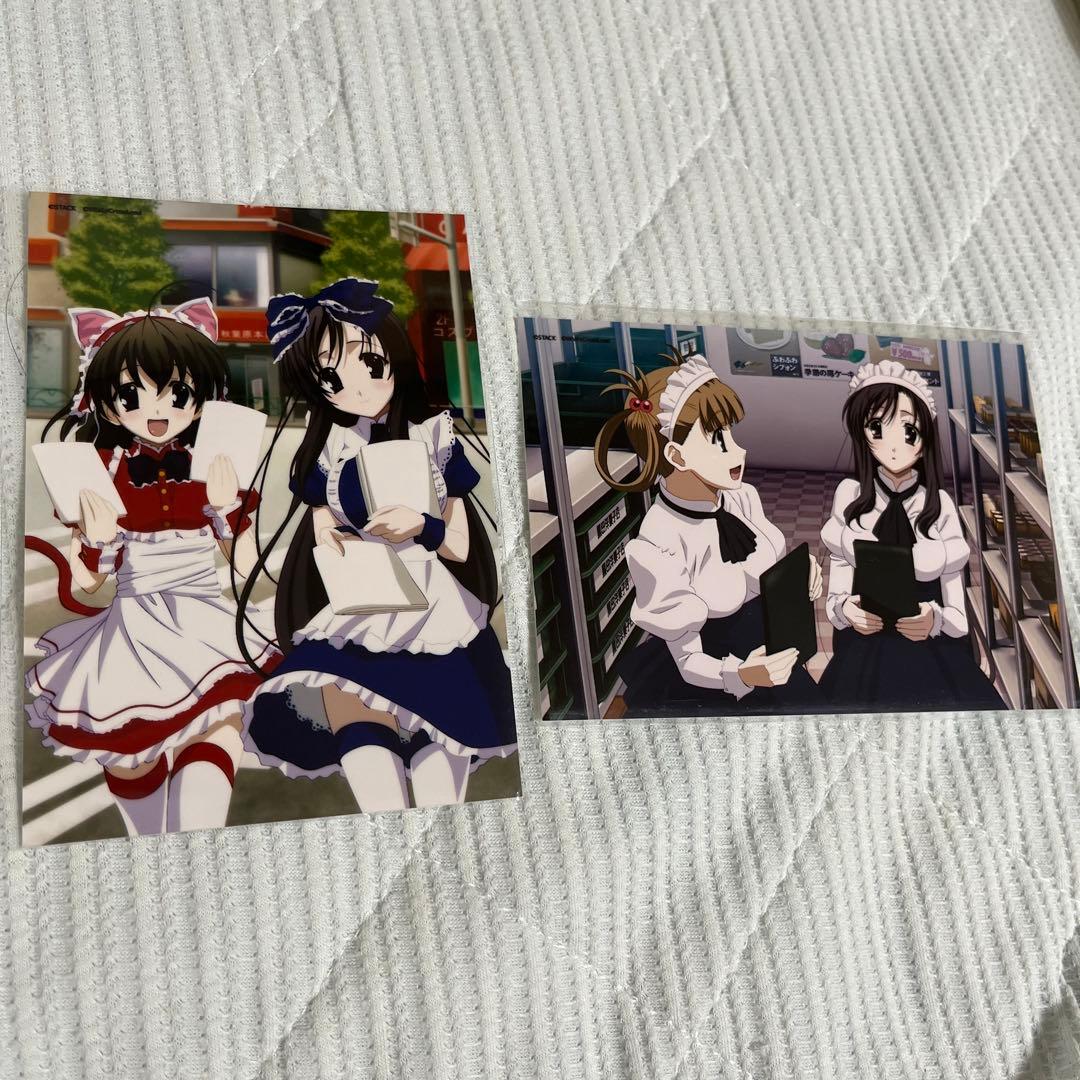 School Days 20周年記念 コラボカフェ ブロマイド 桂言葉 黒田光