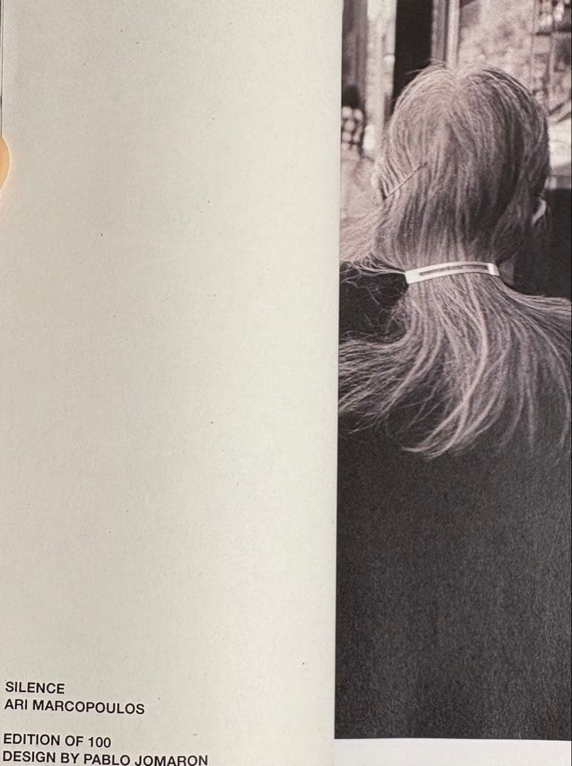 100部限定‼️ 日本未入荷‼️ Ari Marcopoulos 新作ZINE