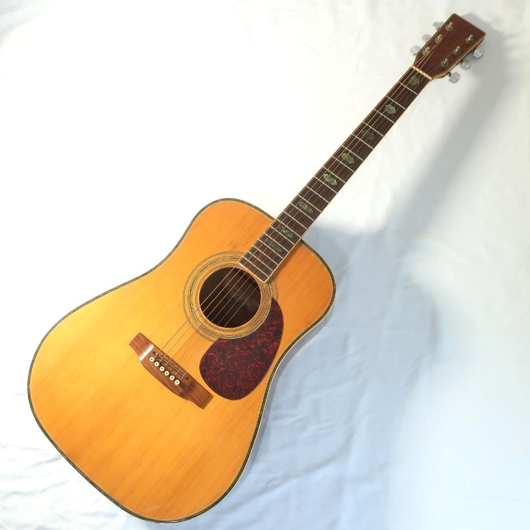 ARIA ADW-300 アコースティックギター 装飾インレイ - メルカリ