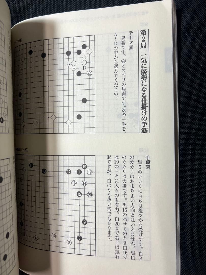 日本囲碁連盟 DVD「定石周辺の手筋」DVD6枚と解説書セット パッケージ未開封