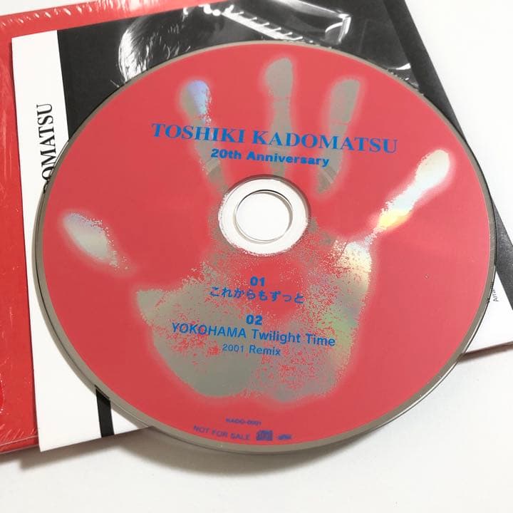 角松敏生 20th Anniversary 東京ビッグサイト 1993ー2001 20th
