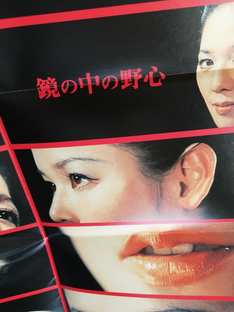 限定版/鏡の中の野心 DVD ひし美ゆり子　☆大判ポスターおまけ付き