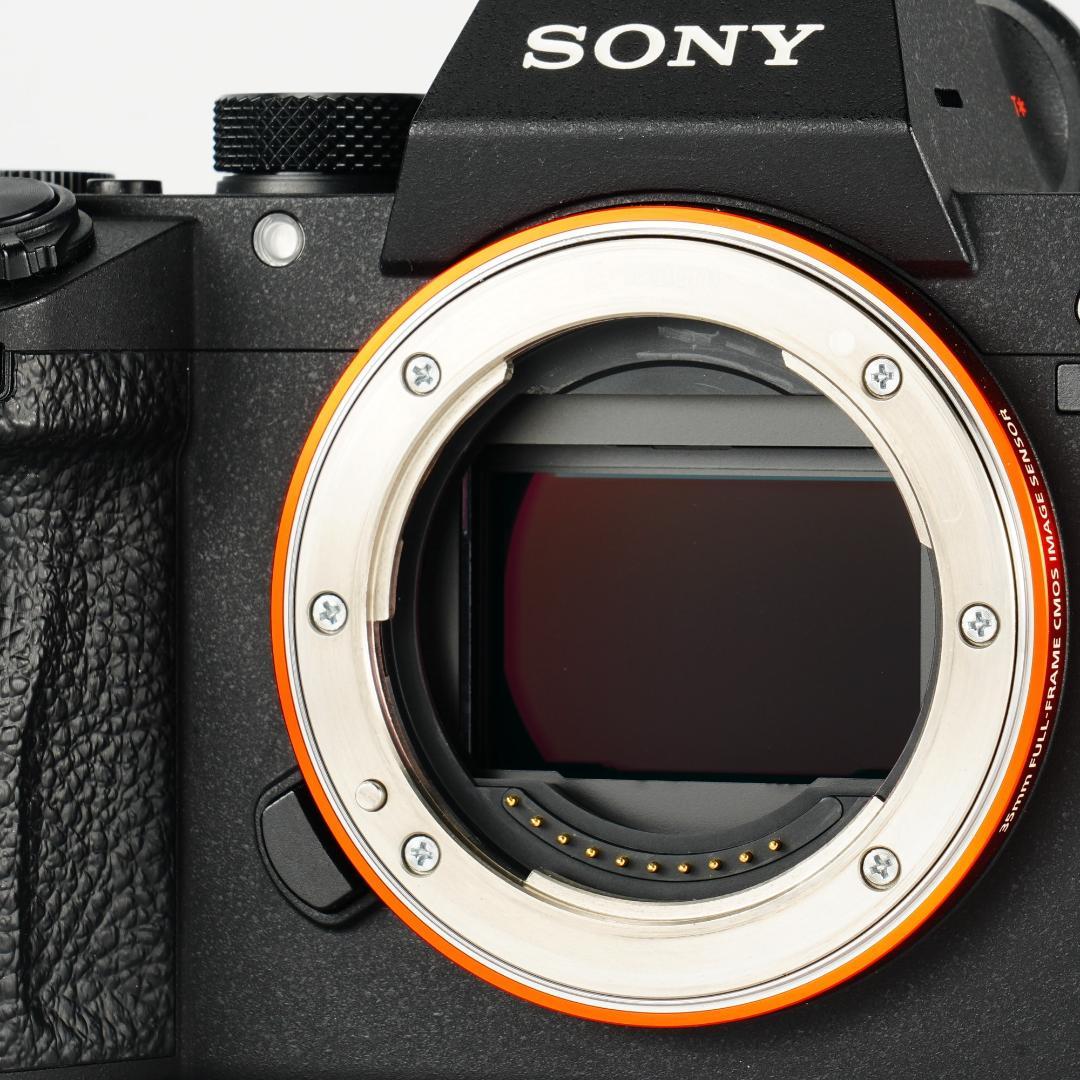 【完全セット】α7III美品！8,539回/20万 すぐ撮影可能 754