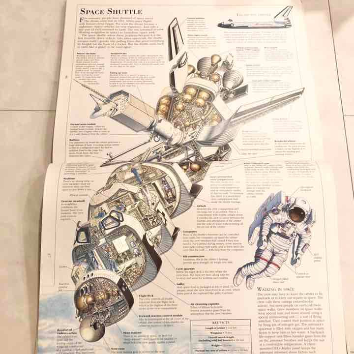 海外製絵本 知育 図鑑 Incredible Cross-Sections 本